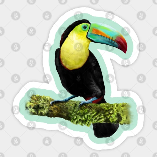 Hand drawn of Toucan bird. Sticker by Lewzy Design